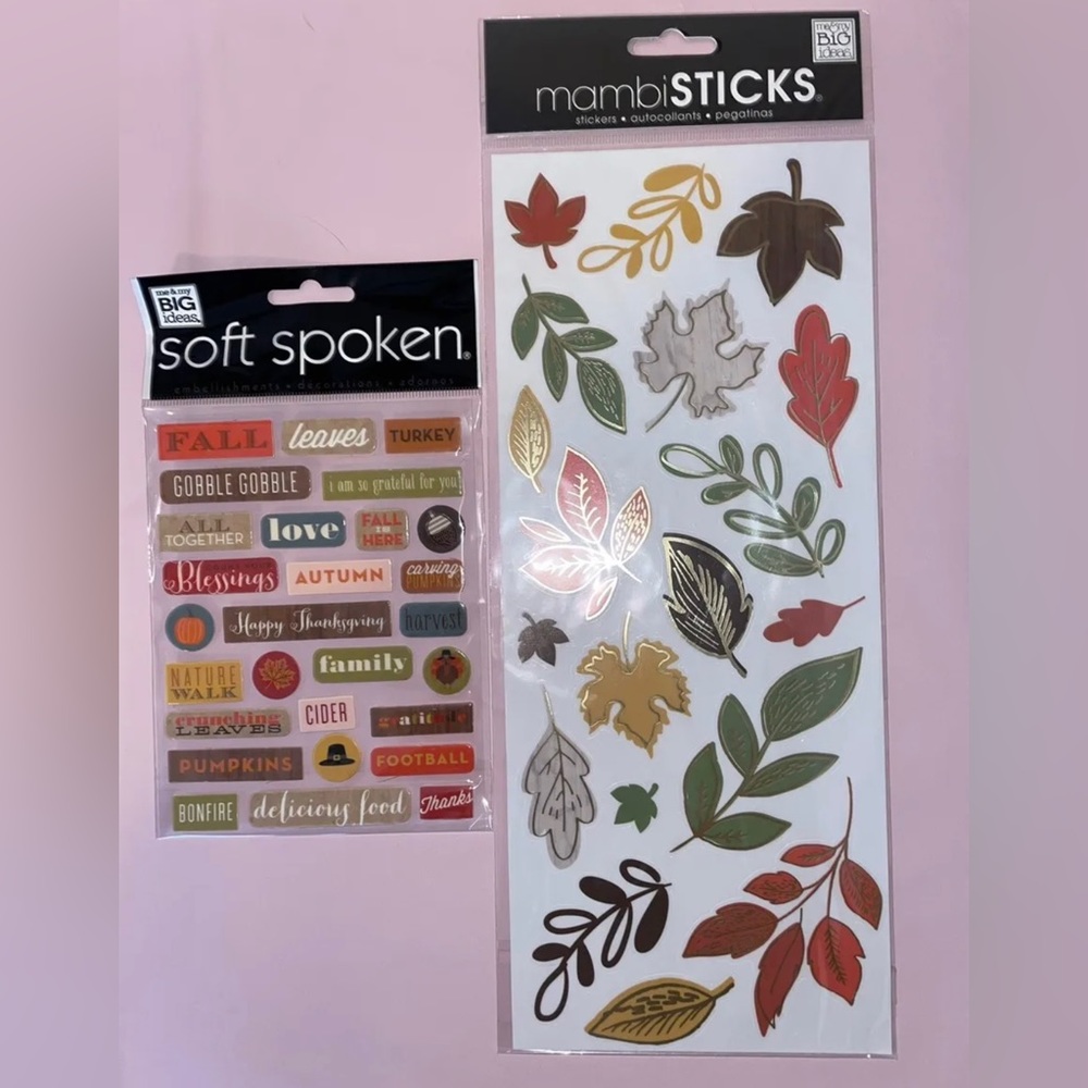 The Happy Planner Sticker Sheet Happy Harvest & Leaves 2 Pack 47 Stickers NEW